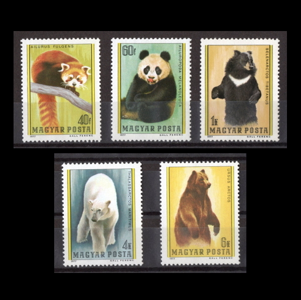 ■ハンガリー切手　1977年　動物 / 熊　5種完_画像1