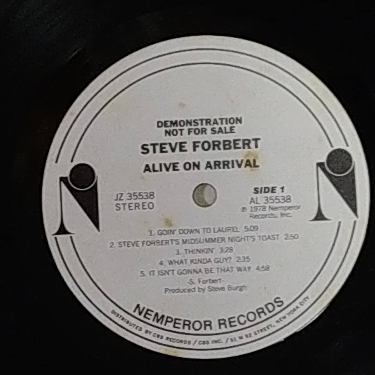 Steve Forbert / Alive on Arrival (PROMOTIONAL COPY)_画像3