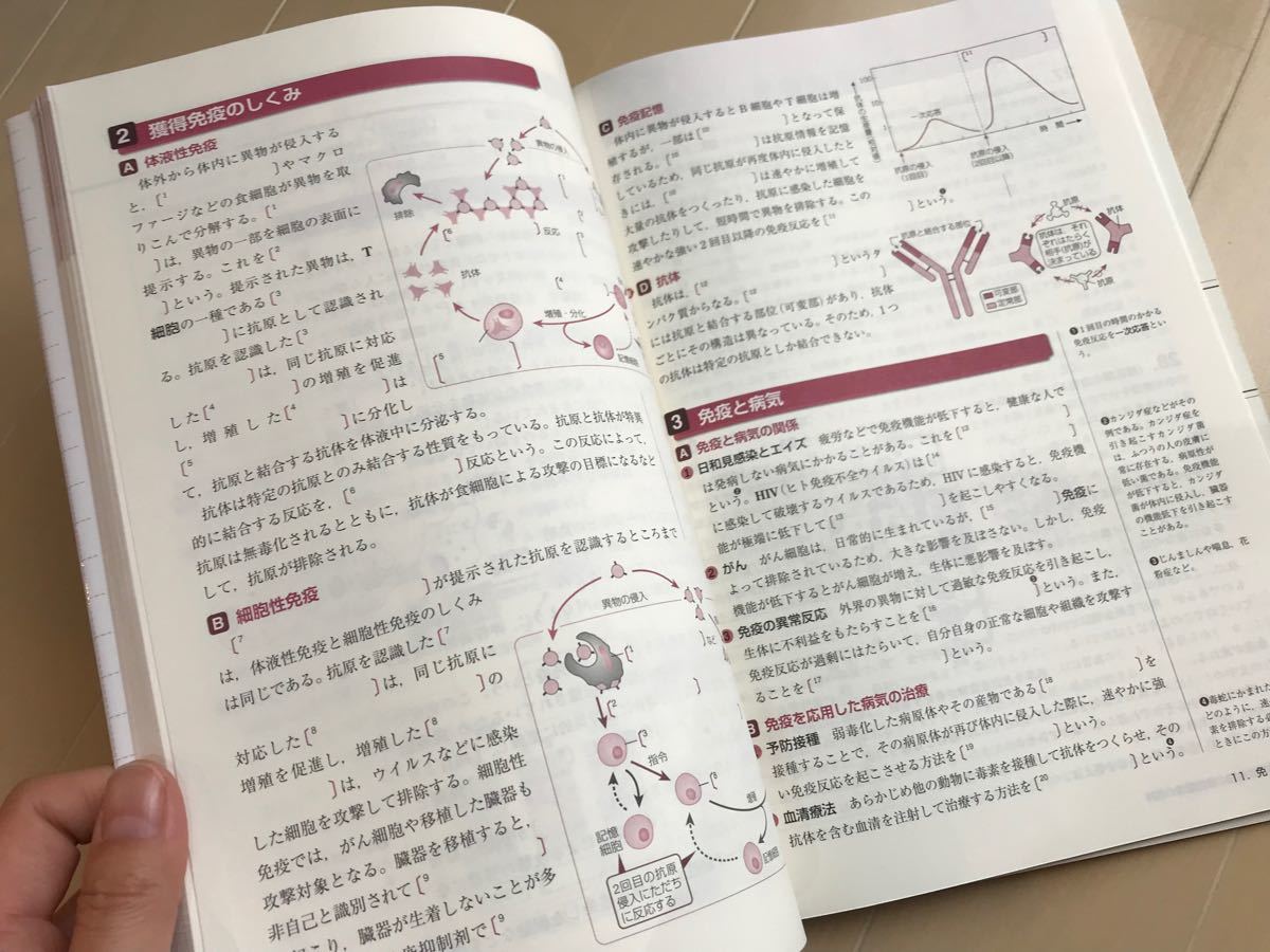 「ゼミノート生物基礎　教科書の整理からセンター試験まで」数研出版　新品未使用