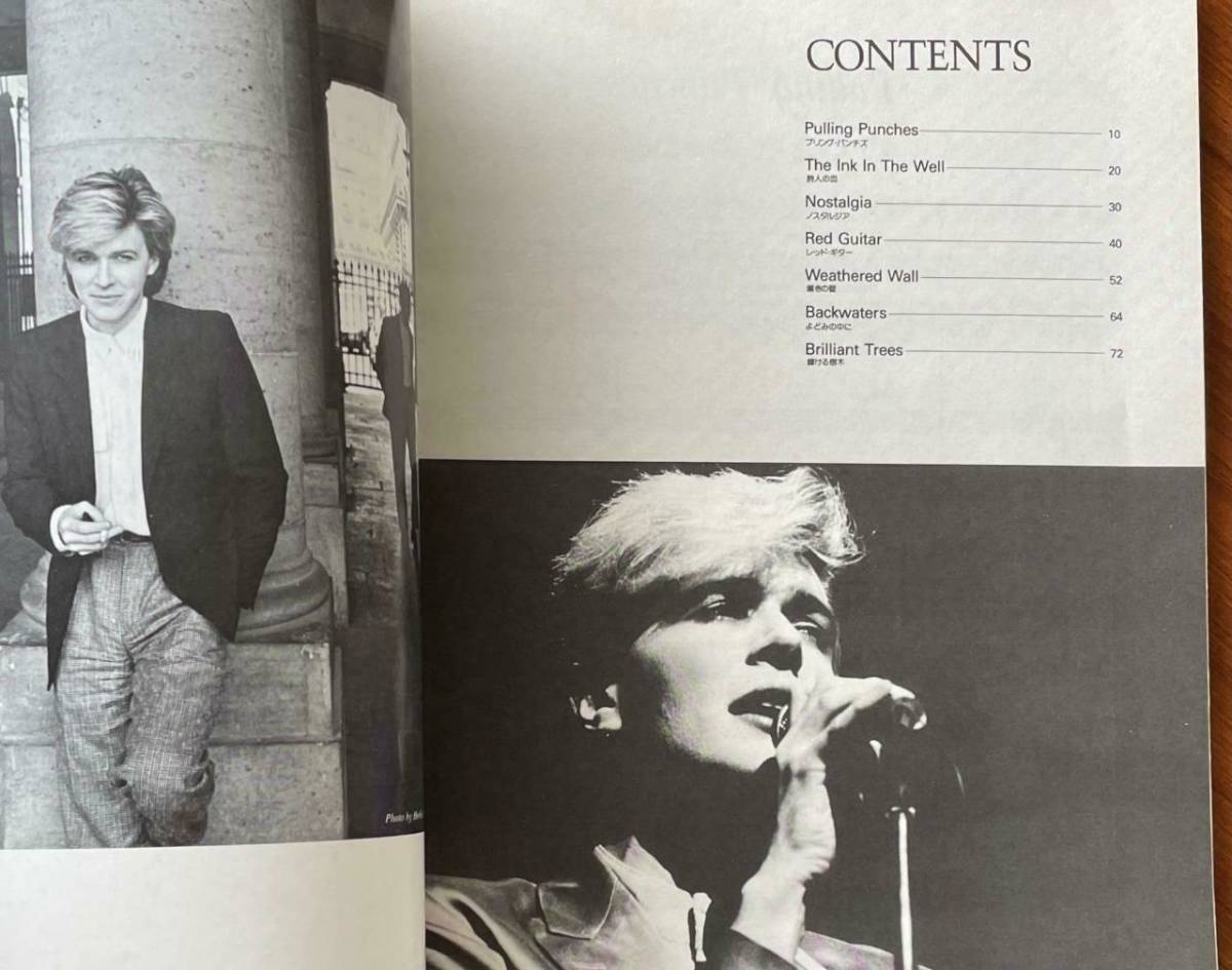 ☆ デヴィッドシルヴィアン David Sylvian ブリリアント ☆ デヴィッドシルヴィアン David Sylvian ブリリアント
