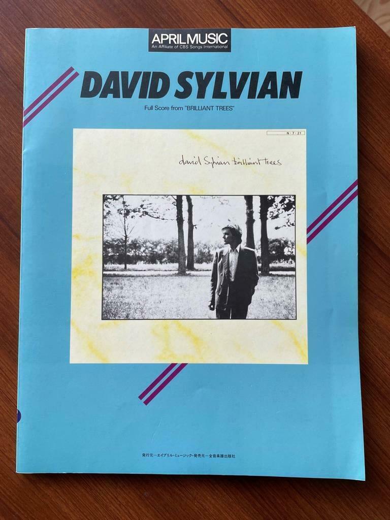 ☆ デヴィッドシルヴィアン David Sylvian ブリリアント ☆ デヴィッドシルヴィアン David Sylvian ブリリアント