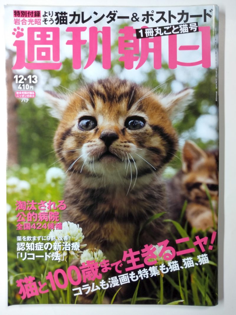 * cat pohs free shipping * Weekly Asahi 2019 year 12/13 number * cat special collection ( calendar * postcard ), Hasegawa Kyoko *