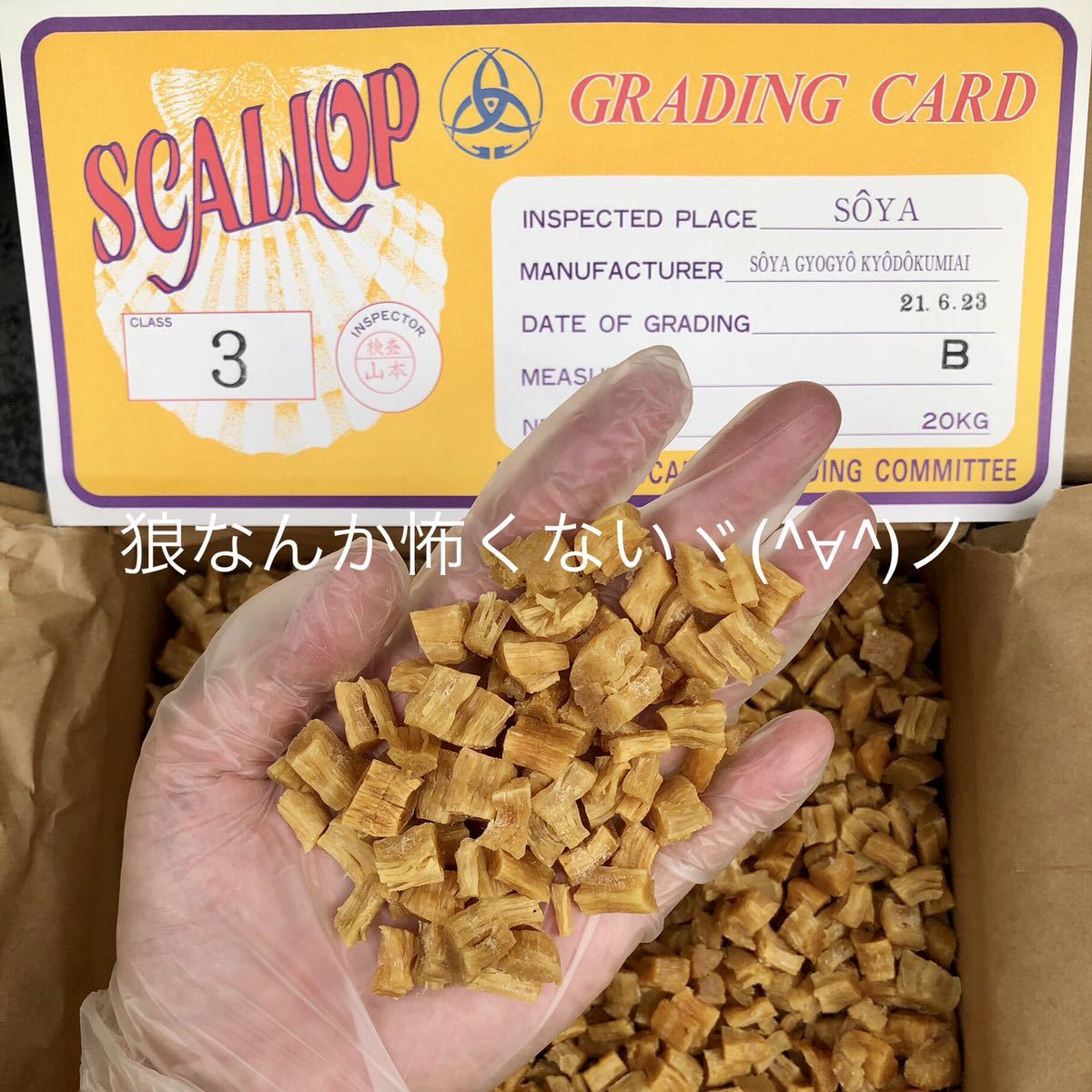 北海道産乾燥帆立貝柱 割れ品（B3）1kg（100g×10袋）ホタテ貝柱 貝柱_画像2