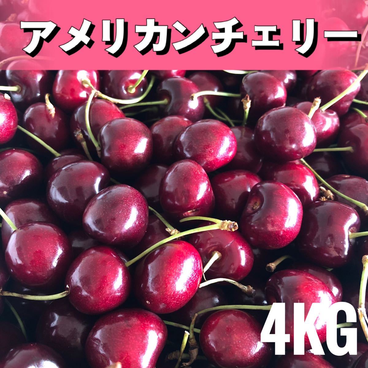 買い取り アメリカンチェリー 大粒 nmef.com