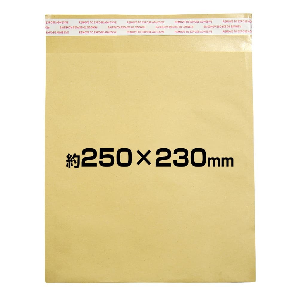 茶封筒 テープ付 約250×230mm クラフト封筒 マチなし [ 10枚セット ] 包装用品 業務用 包装袋 事務用品_画像1