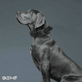 日本格安 b.b.simon 犬用首輪 犬用品