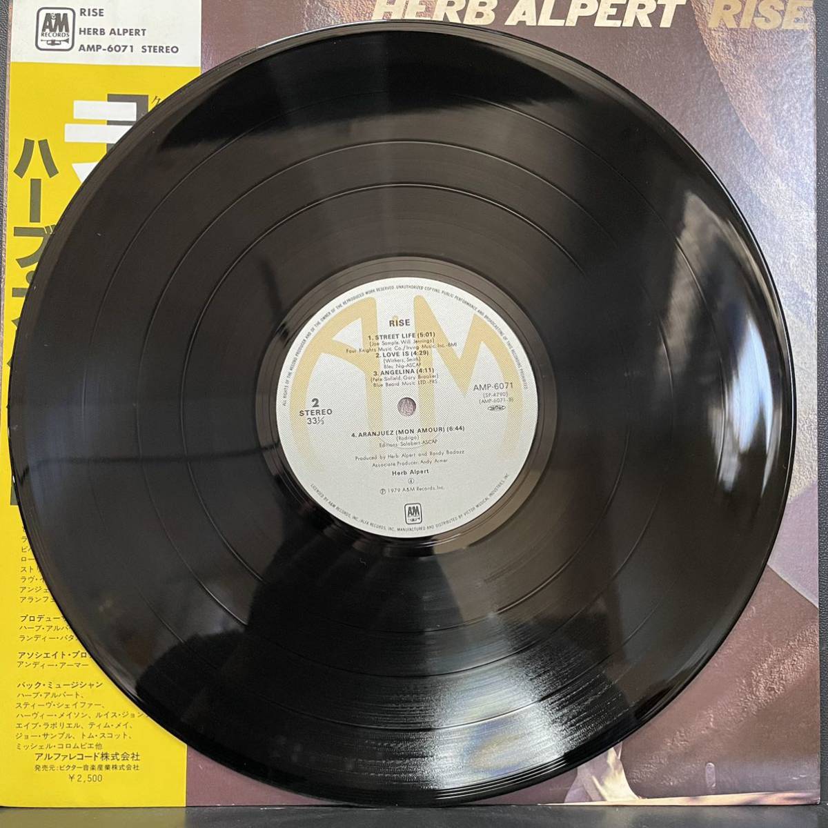 20527T 帯付 12inch LP★ハーブアルパート/HERB ALPERT/RISE★AMP-6071_画像4