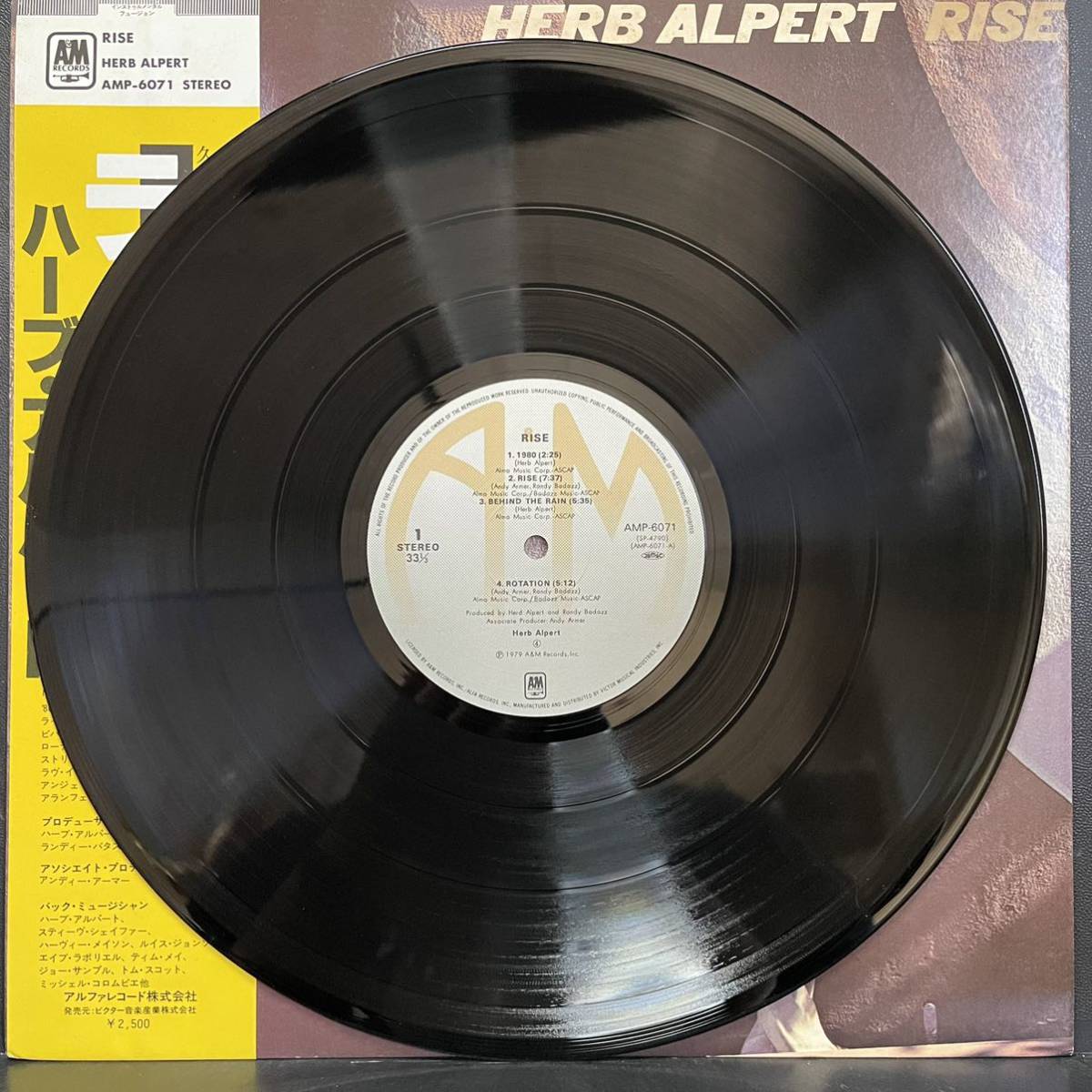 20527T 帯付 12inch LP★ハーブアルパート/HERB ALPERT/RISE★AMP-6071_画像3