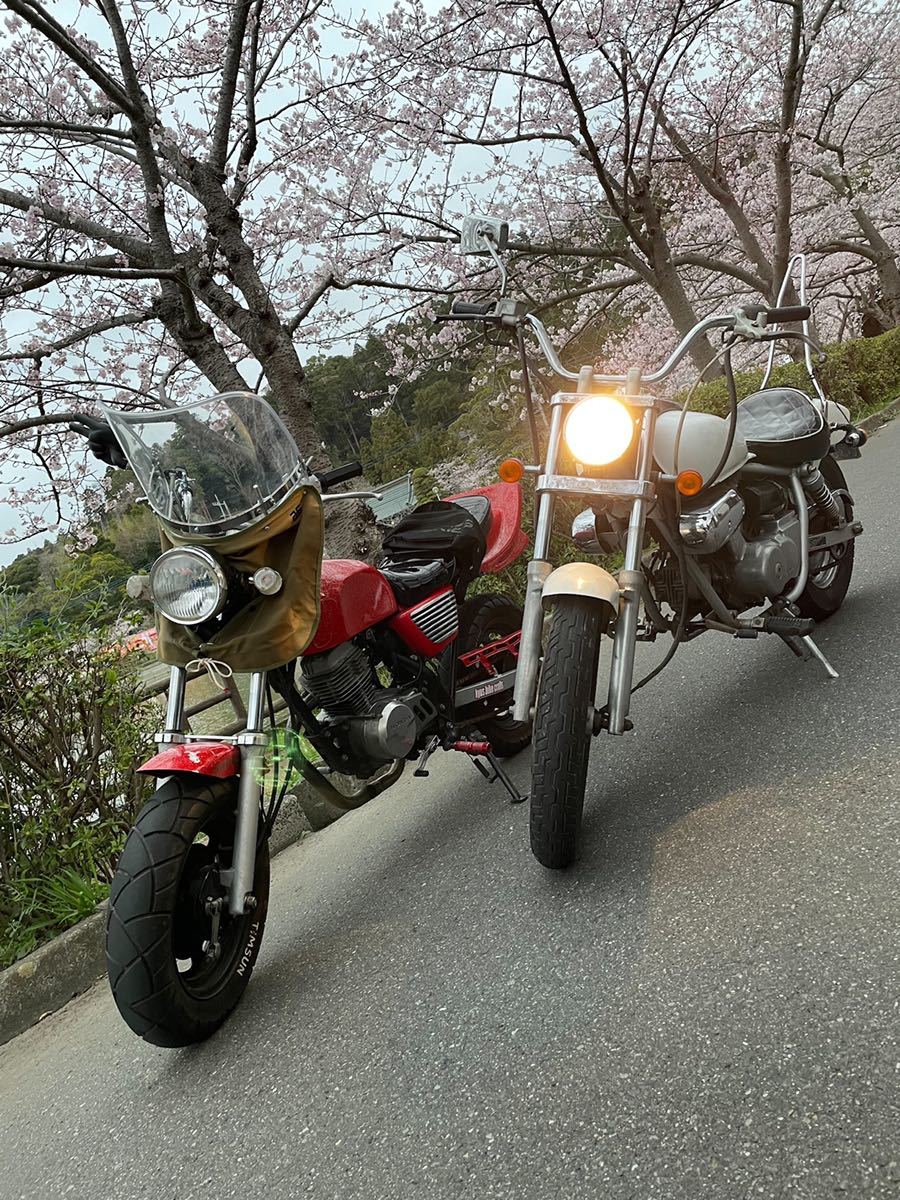 マグナ50 連絡来ないから再出品 bprsubang.com