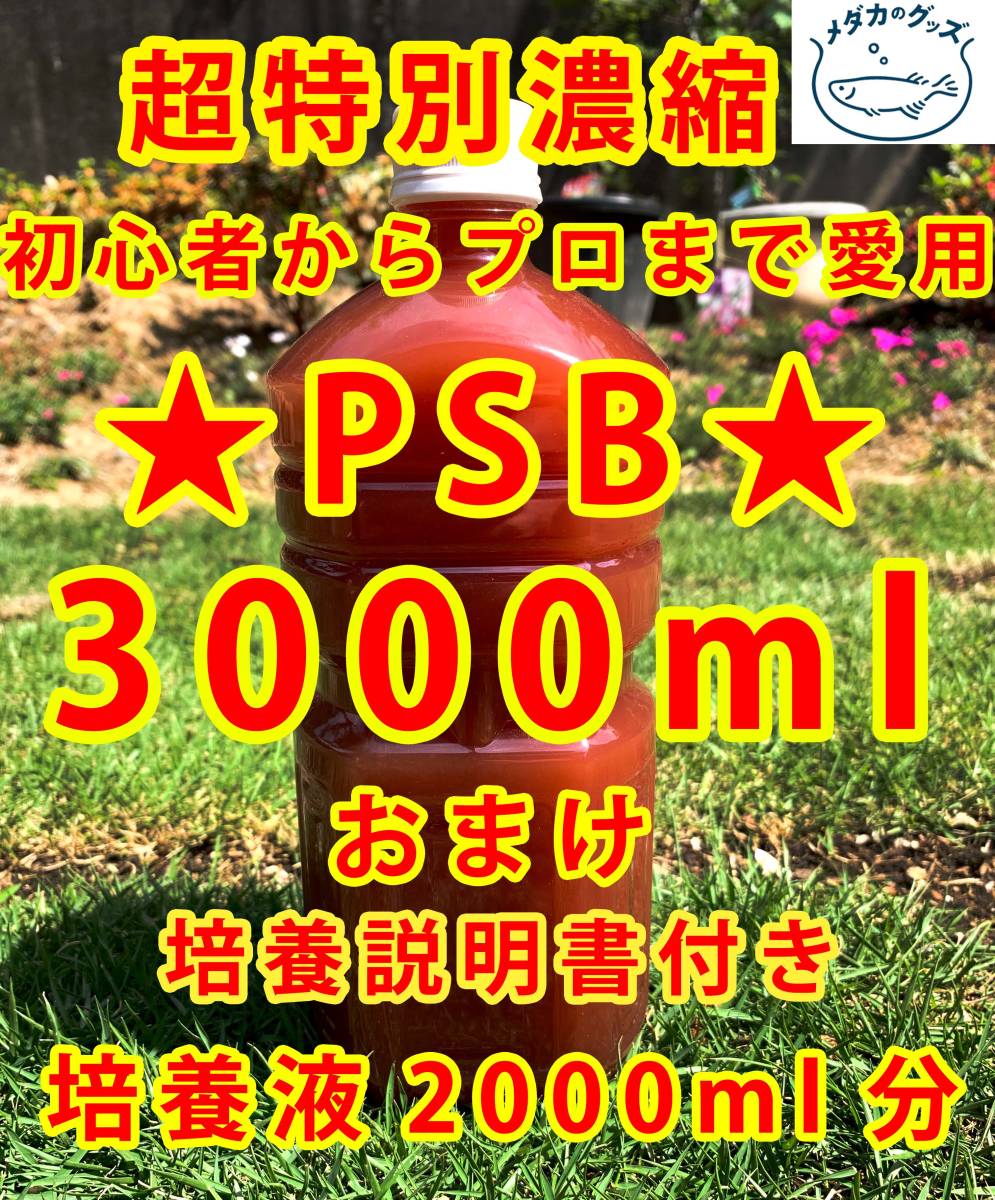 ★PSB　光合成細菌　超8倍濃縮　3000ml　送料無料★バクテリア　メダカ　めだか　金魚　熱帯魚　ミジンコ　ゾウリムシ　ミドリムシ　おまけ_画像1