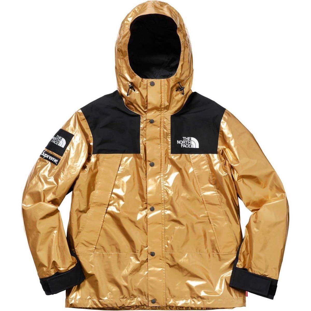 Supreme The North Face Metallic Mountain Parka シュプリーム ザ ノース フェイス メタリック マウンテン パーカー S_画像1