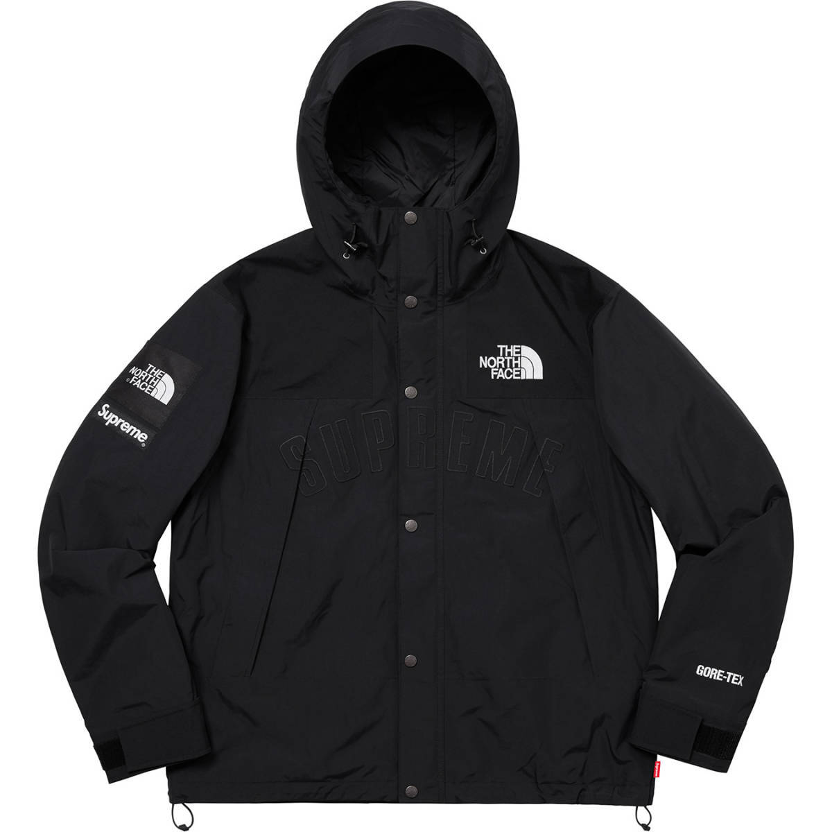 国内正規品 未使用品 19ss Supreme The North Face Arc Logo Mountain Parka GORE-TEX シュプリーム ノースフェイス マウンテンパーカー