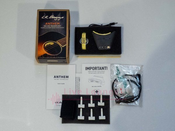 送料無料/品 動作確認済み】 L.R.Baggs ◇超定番 上位 Anthem