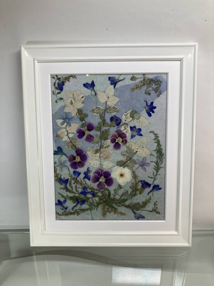  pressed flower .... fine art amount hand made white frame white amount approximately 34×41cm