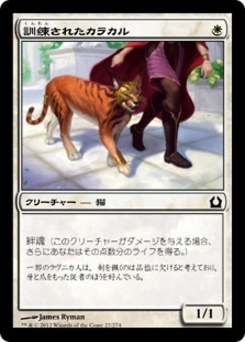 MTG ■白/日本語版■ 《訓練されたカラカル/Trained Caracal》★FOIL★ ラヴニカへの回帰 RTR_画像1