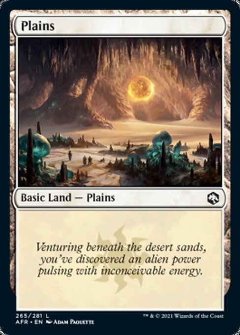 MTG ■土地/英語版■ 《平地/Plains》フォーゴトン・レルム探訪　AFR_画像1