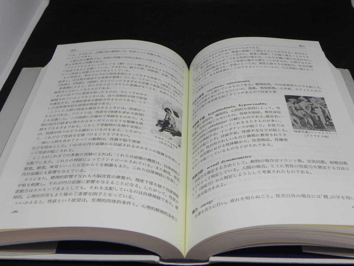 新編セクソロジー辞典　編著　石濱淳美　メディカ出版　LY-d4.220520_画像6
