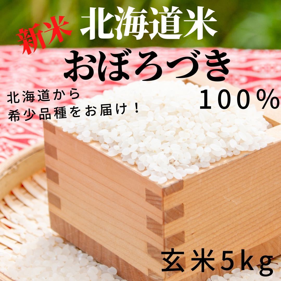 もっちり　ふっくら　食べてみて　北海道米　おぼろづき　玄米 5kg 新米　お米_画像1