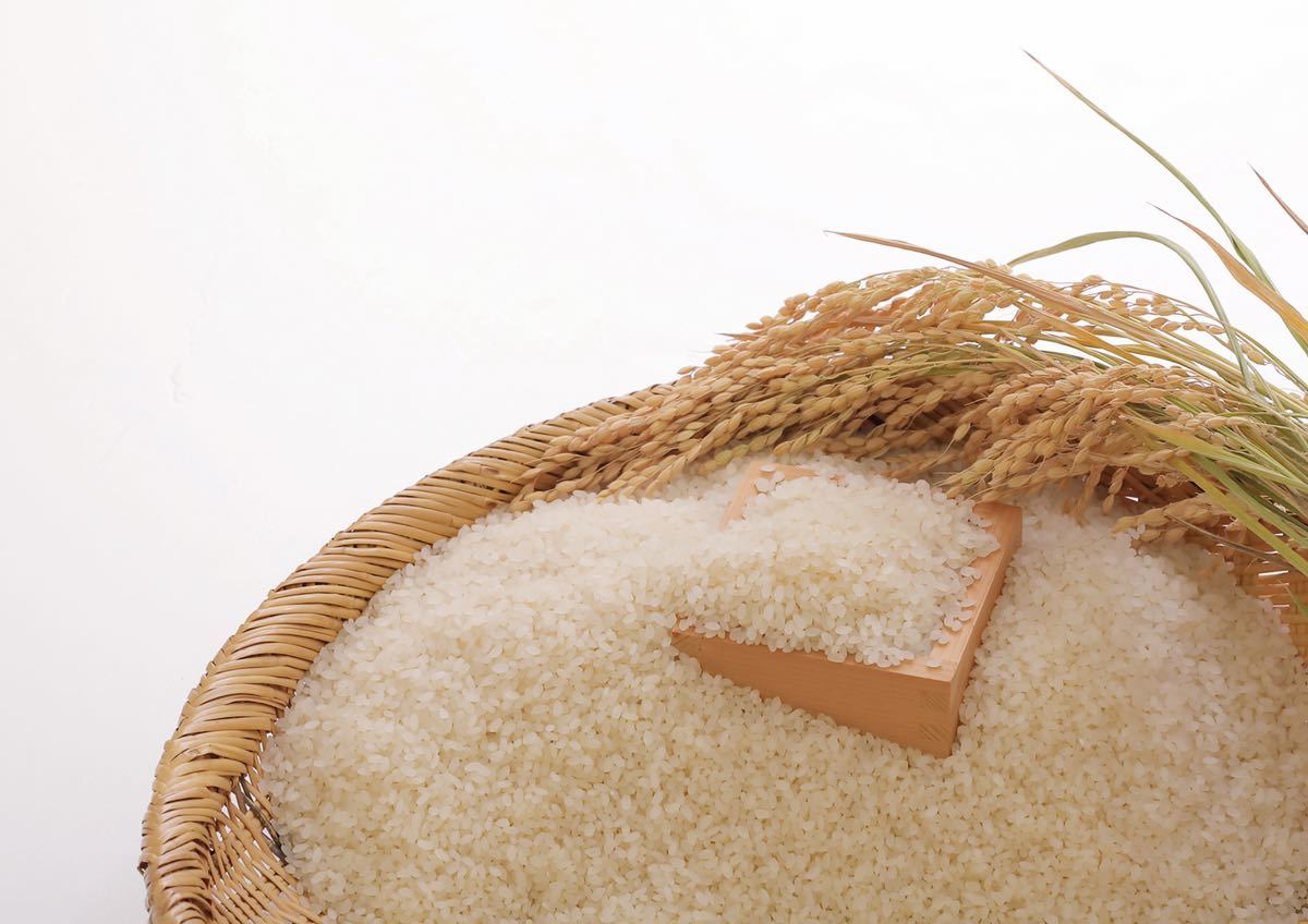 もっちり　ふっくら　食べてみて　北海道米　おぼろづき　玄米 5kg 新米　お米_画像2