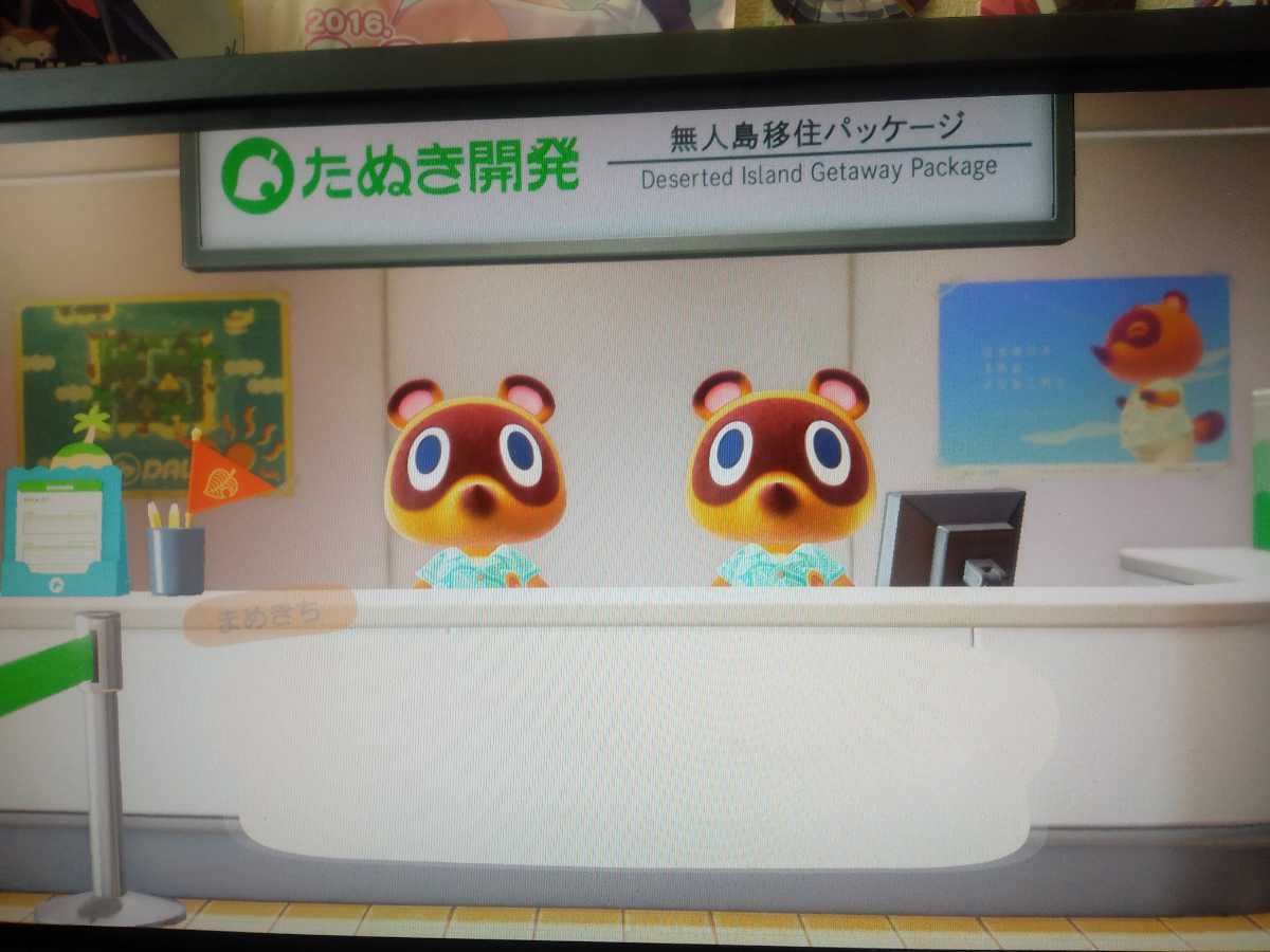 送料無料 動作確認済み NINTENDO SWITCH ソフト 2本セット どうぶつの