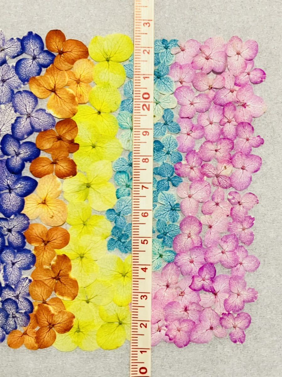  засушенный цветок материалы Mix дыра bell ( окраска засушенный цветок )