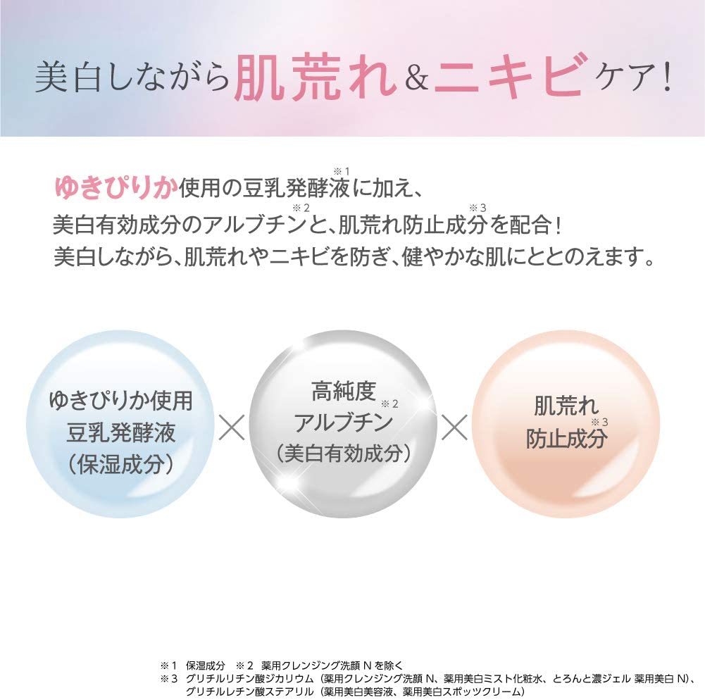 なめらか本舗　とろんと濃ジェル　薬用美白　N（医薬部外品）100g 高保湿 オールインワンジェル ハリ ツヤ 弾力 (2セット) sana-18