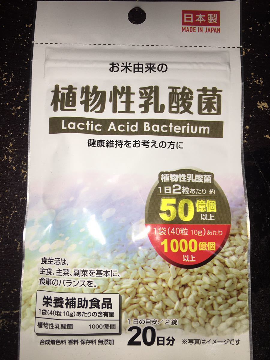 植物性乳酸菌　日本製タブレットサプリメント_画像1