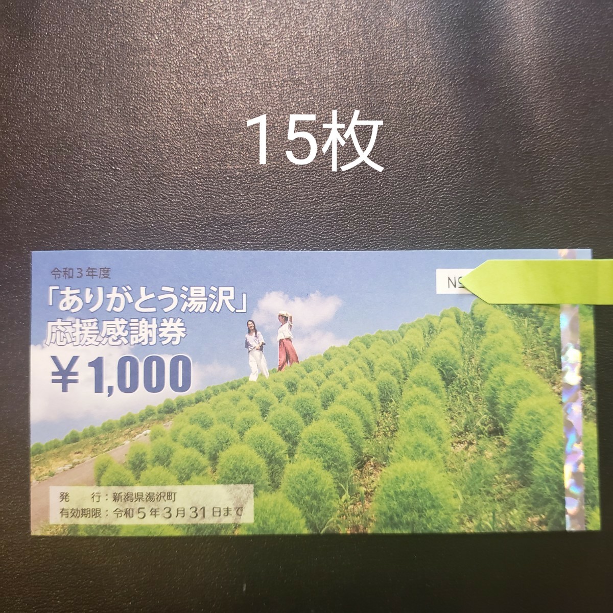春のコレクション 新潟県湯沢町 ありがとう湯沢応援感謝券15枚