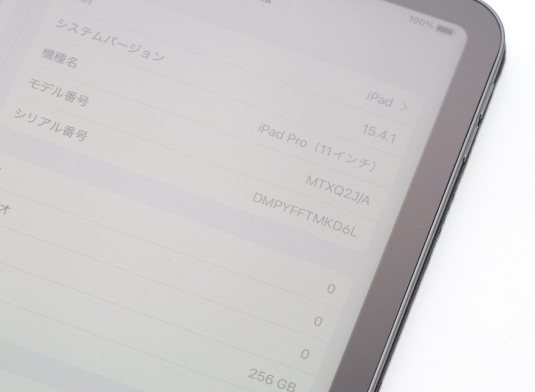 ∞ 液晶綺麗!カバーおまけ付き!iPad Pro 11-inch 256GB Wi-Fiモデル