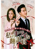 【中古】私のキライな翻訳官 全21巻セット【訳あり】 s18667【レンタル専用DVD】_画像1