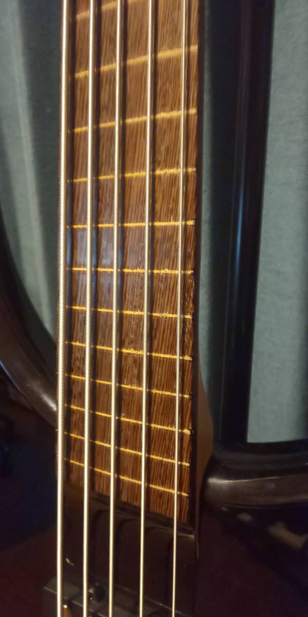 Warwick RockBass Infinity fret less modifying 5 string base 