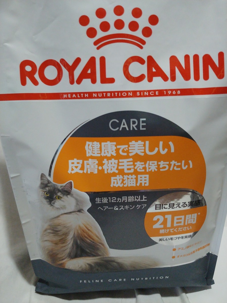 最大40%OFFクーポン ロイヤルカナン アメリカンショートヘア 2kg3袋 ペットフード 最大40%OFFクーポン ロイヤルカナン アメリカンショートヘア 2kg3袋 ペットフード
