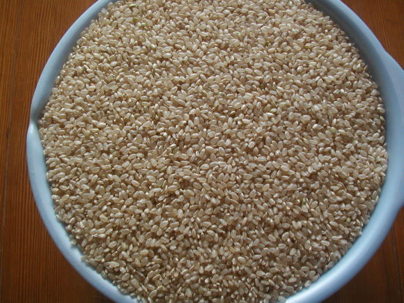 ☆　農家発 　令和3年　美味しいお米　食味評価Sランク　玄米25ｋｇ（米袋込み重量）色彩選別　☆_画像2