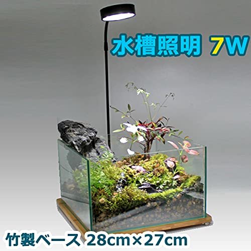 水槽照明 アクアリウムライト LED 水槽ライト 7W 竹製 水槽 ベース 25cm 小型 熱帯魚 角度調節可能 金魚 水草_画像2