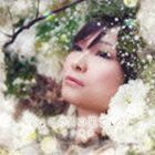 この雲の果て（通常盤／CD＋DVD） 今井麻美_画像1