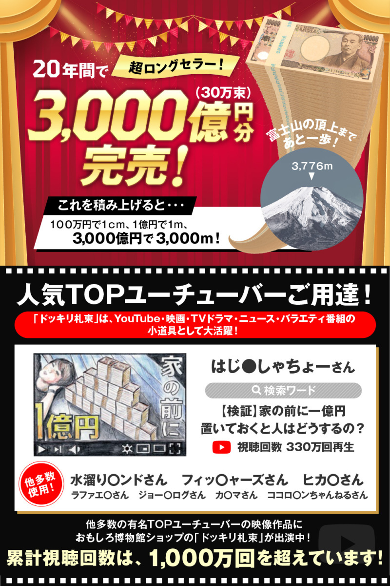 札束 100万円札束 ダミー ２束D 金融機関共通 文字入り帯_画像3