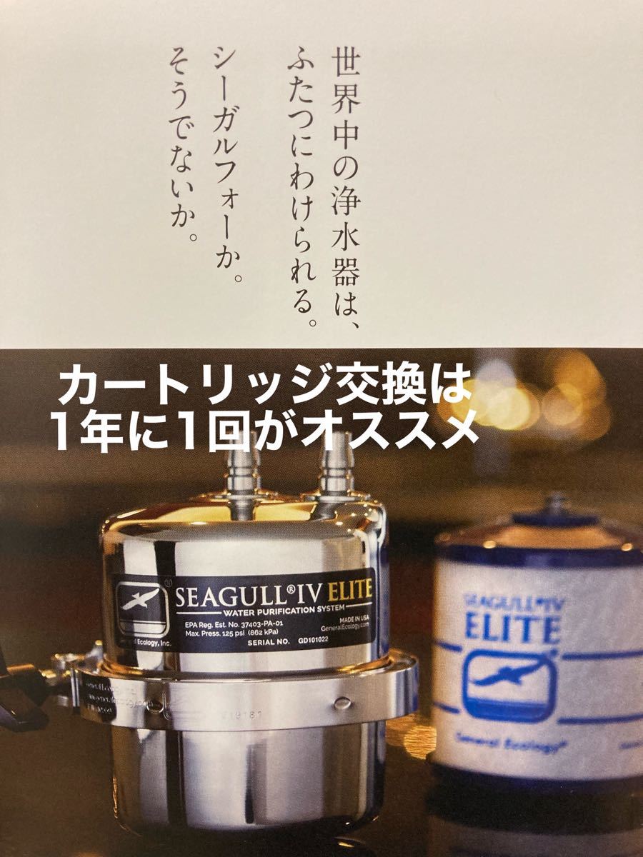 高知インター店】 シーガルフォー 交換カートリッジ RS-1SGE 10本