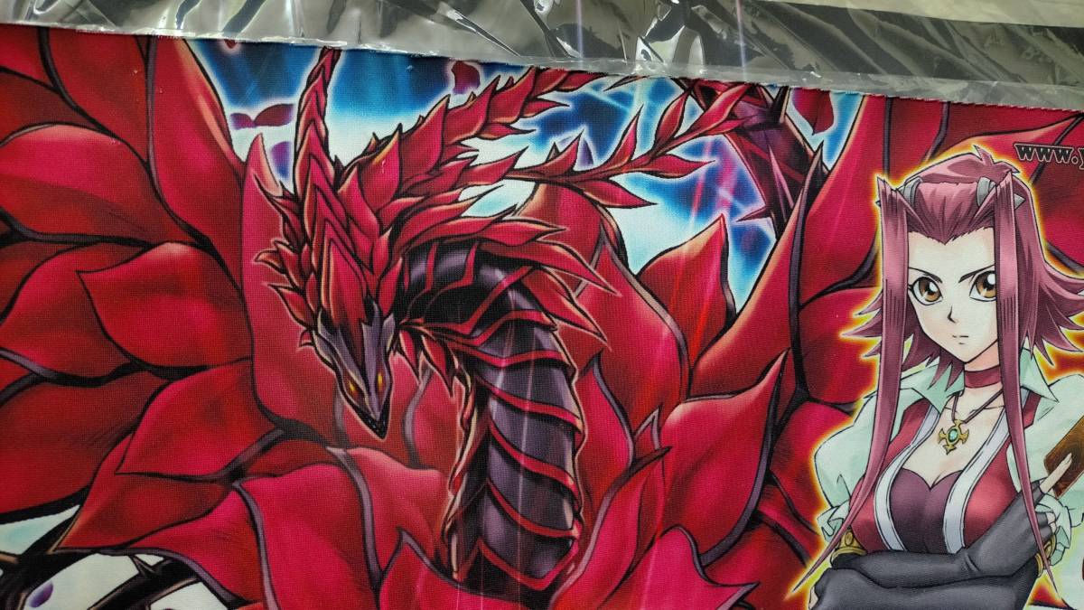 最大84%オフ! JUDGE2015 ブラックローズドラゴン 十六夜アキ プレイ
