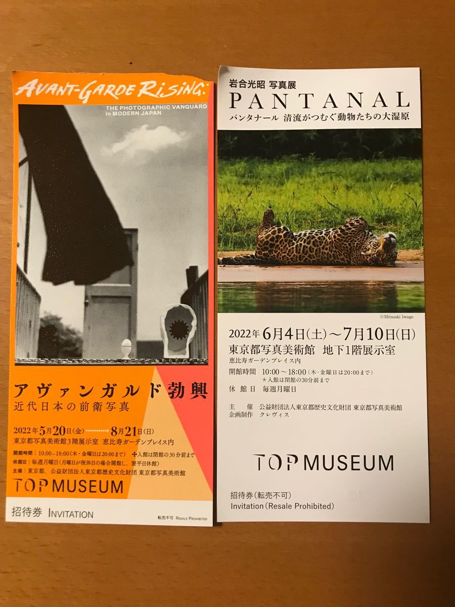 79%以上節約 東京都写真美術館 チケット2種 計2枚 rusinova.pl