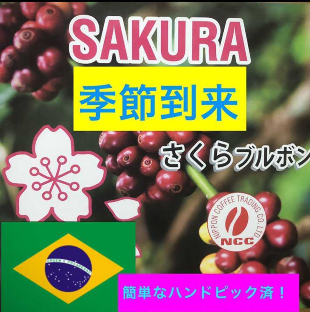 ブラジル さくらブルボン400gコーヒー生豆 焙煎しておりません！簡単なハンドピック済みです！