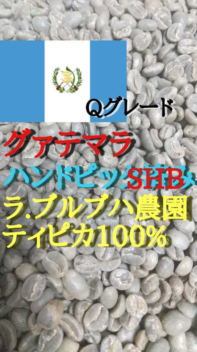 グァテマラSHBディピカ100%ラ・ブルブハ農園コーヒー生豆400g！簡単なハンドピック済み！