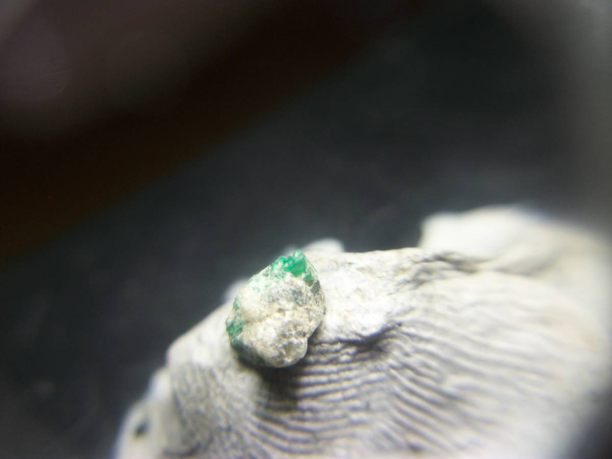アフガニスタン　宝石質　エメラルド　緑柱石　母石付き　鮮やかなグリーン　小粒　セット　定型外発送_画像10