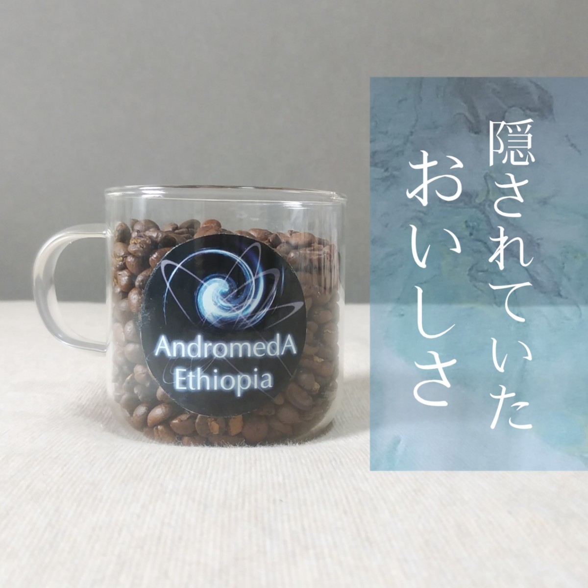 豆500g☆リム・アンドロメダエチオピアコーヒー☆完全野生種、原生林のコーヒー