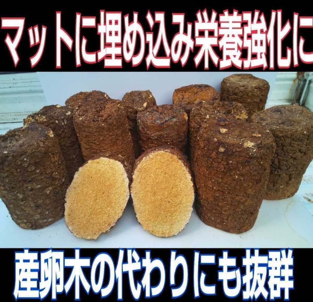 カブトムシマットにブロックのまま埋め込むと幼虫が潜り込みモリモリ食べて大きくなる！椎茸菌床4個☆クヌギ100％原料使用☆産卵材にもOK！_画像1