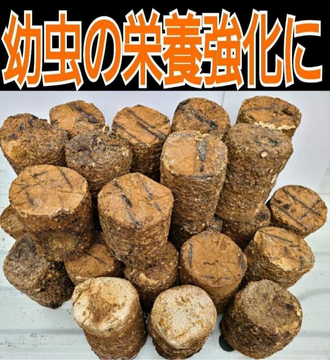 カブトムシマットにブロックのまま埋め込むと幼虫が潜り込みモリモリ食べて大きくなる！椎茸菌床4個☆クヌギ100％原料使用☆産卵材にもOK！_画像5