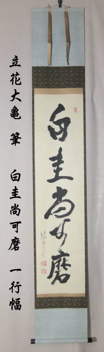 雉坂☆【立花大亀 筆 白圭尚可磨 一行幅 共箱】大徳寺511世・徳禅寺 