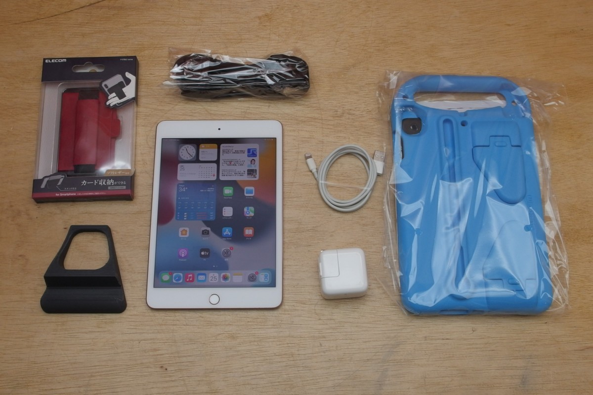 Apple iPad mini 5 Wi-Fi 256GB ゴールド エレコムEVAケース新品