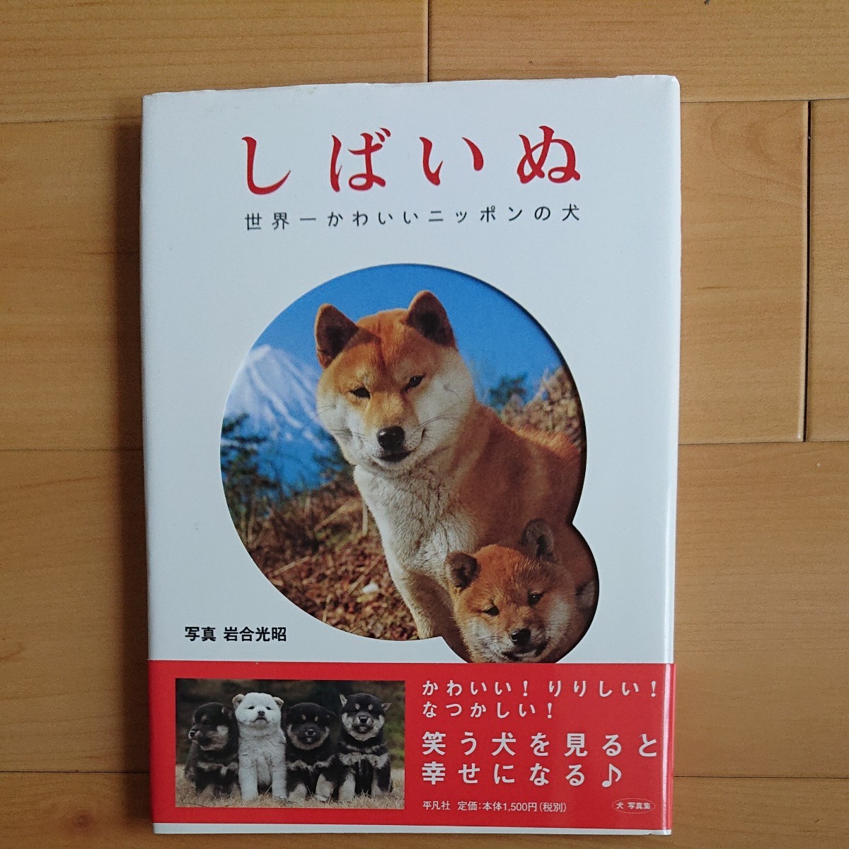 Paypayフリマ しばいぬ 世界一かわいいニッポンの犬 岩合光昭 Paypayフリマ しばいぬ 世界一かわいいニッポンの犬 岩合光昭
