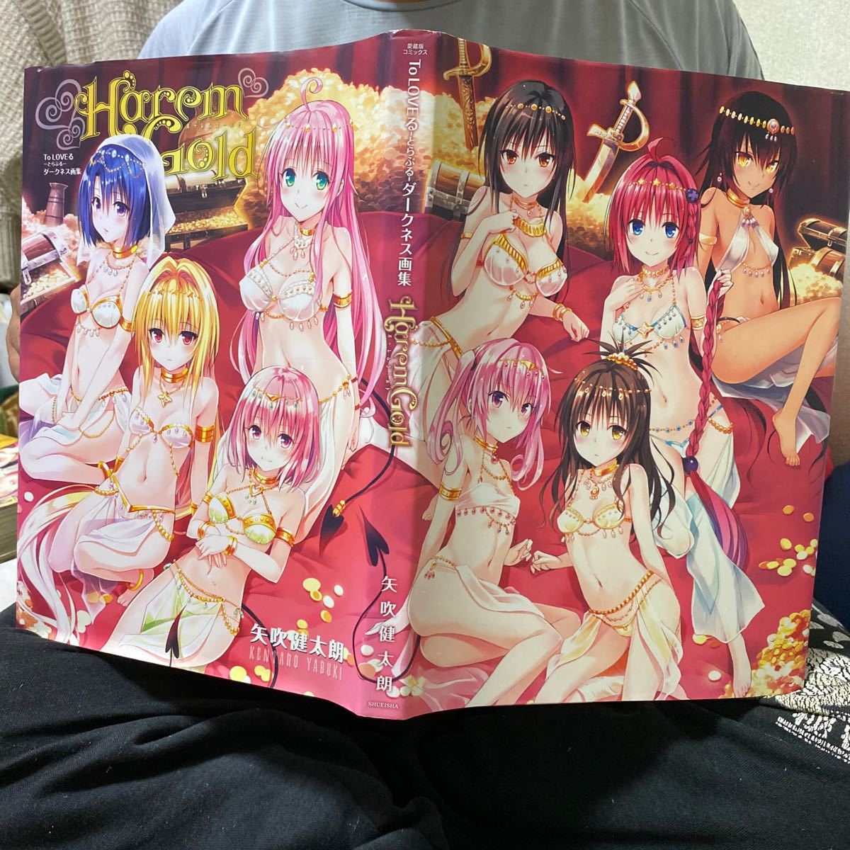 ToLOVEる 画集|PayPayフリマ