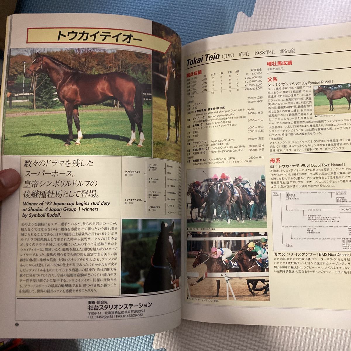 第61回 日本ダービー 東京優駿 ナリタブライアン ゼッケン 第61回 日本ダービー 東京優駿 ナリタブライアン ゼッケン